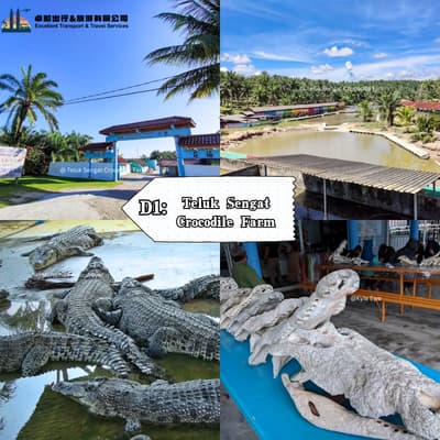 Teluk Sengat  Crocodile Farm - Teluk Sengat